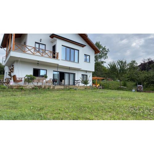 Zeytin Dalı Villa