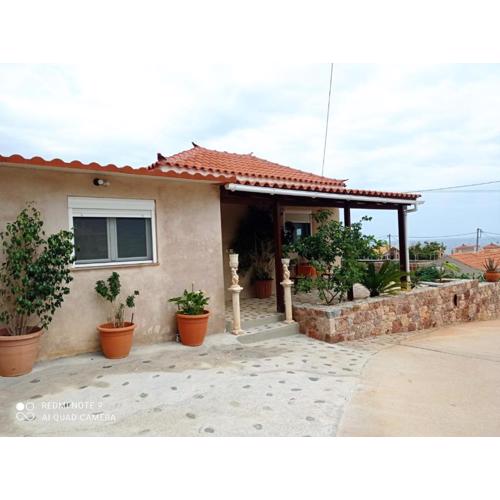 zikos house