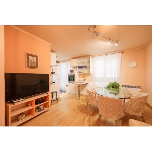 Zorica - 2 bedroom apartment in city centar