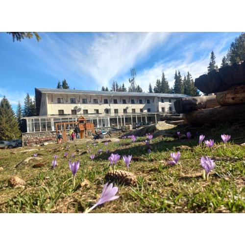 Zvezditsa Chalet