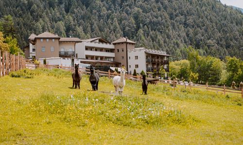 Dovolená pro celou rodinu v Jižním Tyrolsku: 4* Hotel Bergschlössl se snídaní/polopenzí a wellness + miniklub