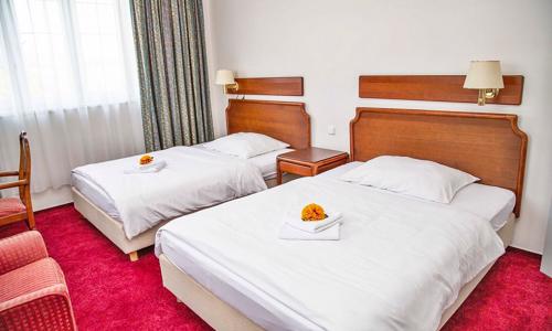 Hotel S-centrum Děčín **** se snídaní/polopenzí, relaxací v sauně a vstupenkami na zámek a do zoo + sekt