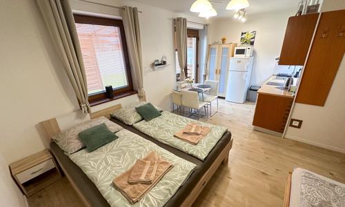 Nesvady jen 750 m od termálů: Apartmán Losonci se slevou na vstup do lázní + zapůjčení kol a bohaté vyžití