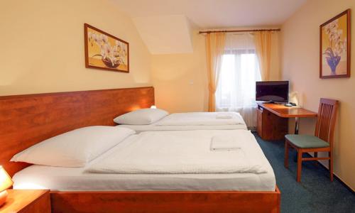 Plzeň u centra, pivovaru i historického podzemí v Hotelu Palace ***superior se snídaní a slevou do restaurace