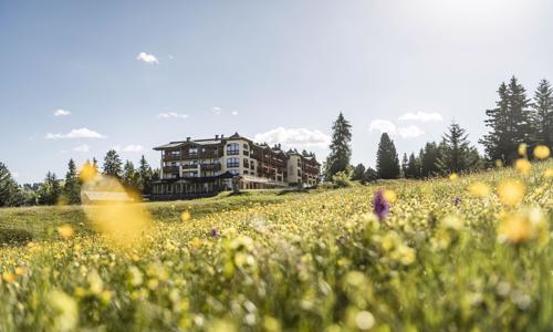 Seiser Alm a Dolomity v Hotelu Steger-Dellai **** s polopenzí a luxusním wellness centrem + dětské hřiště