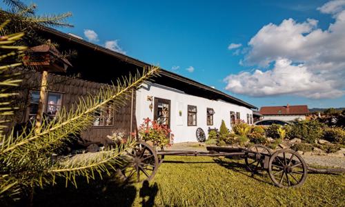 Šumava blízko skiareálů: Penzion Sněžná ve stylových pokojích se snídaní/polopenzí + využití lednice a konvice