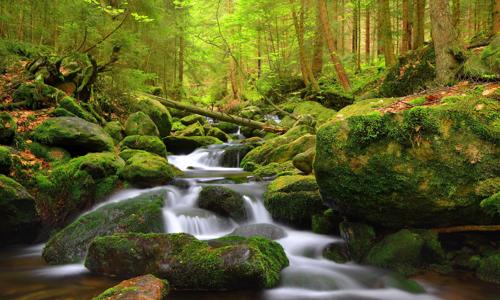 Šumava nedaleko Boubínského pralesa a přírodních parků v Penzionu Pod pralesem s polopenzí a dětským koutkem