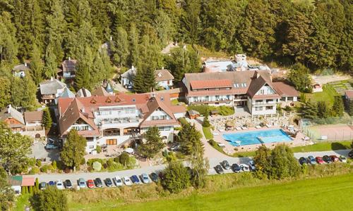 Vysočina: Hotel Podlesí *** u Pohádkové vesničky s polopenzí, bazénem a vstupem do wellness (vířivky, sauny)