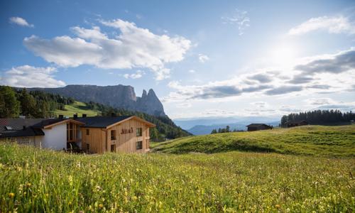 Wellness pobyt v Jižním Tyrolsku: Seiser Alm v Hotelu Seelaus **** s polopenzí, krytým bazénem a 2 saunami